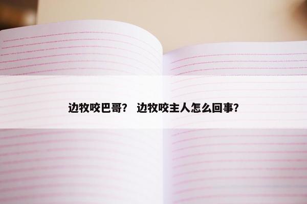 边牧咬巴哥？ 边牧咬主人怎么回事？