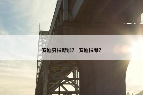 安迪只拉斯加？ 安迪拉琴？