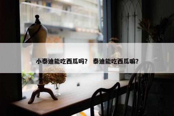 小泰迪能吃西瓜吗？ 泰迪能吃西瓜嘛？