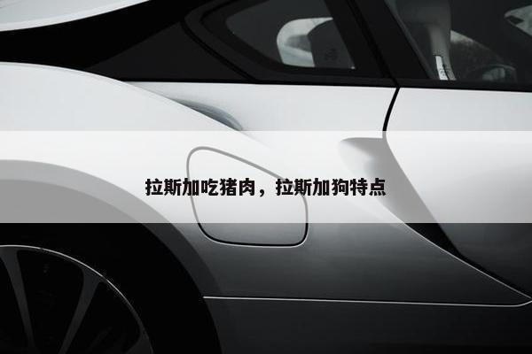 拉斯加吃猪肉，拉斯加狗特点