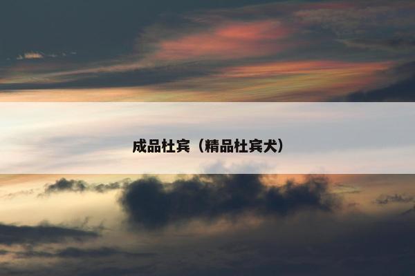 成品杜宾（精品杜宾犬）