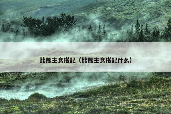 比熊主食搭配（比熊主食搭配什么）