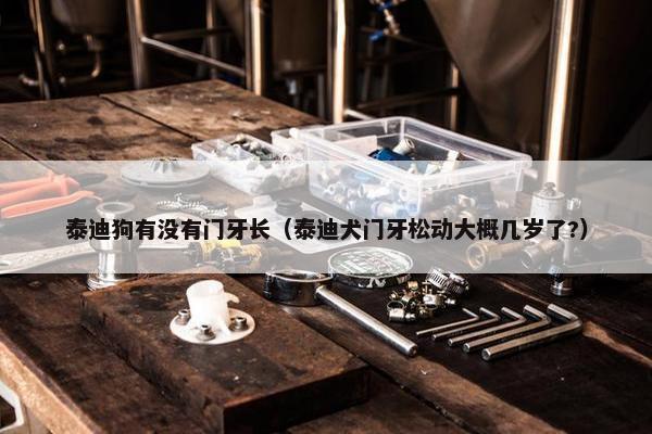 泰迪狗有没有门牙长（泰迪犬门牙松动大概几岁了?）
