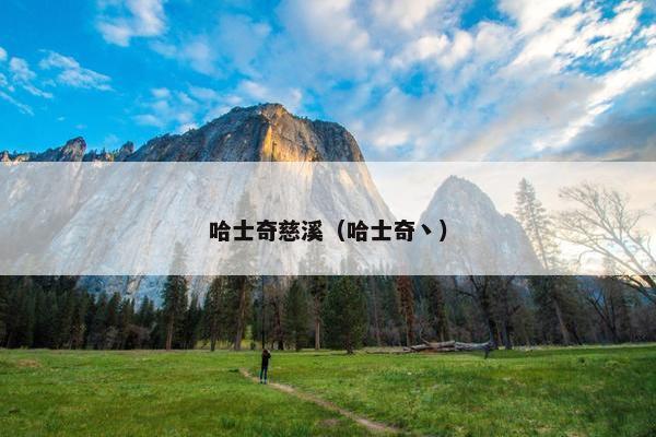 哈士奇慈溪（哈士奇丶）