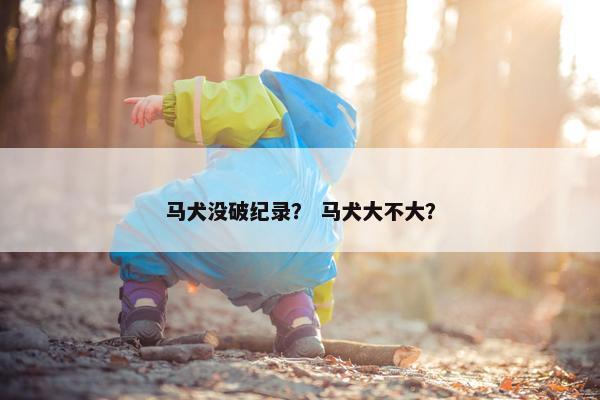马犬没破纪录？ 马犬大不大？