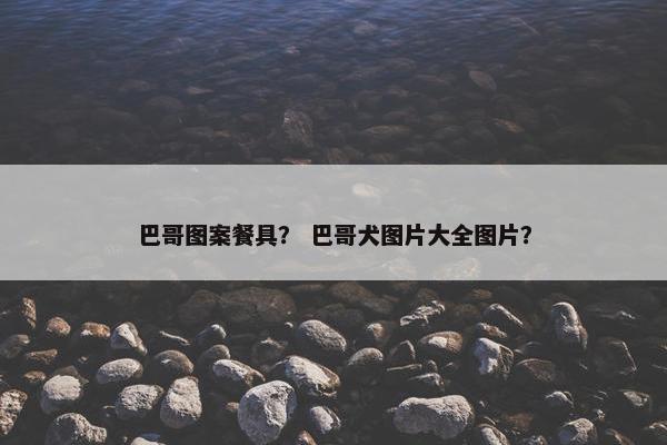 巴哥图案餐具？ 巴哥犬图片大全图片？
