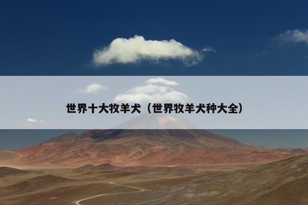 世界十大牧羊犬（世界牧羊犬种大全）