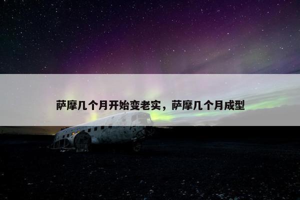 萨摩几个月开始变老实，萨摩几个月成型