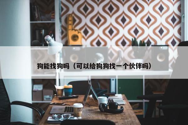 狗能找狗吗（可以给狗狗找一个伙伴吗）