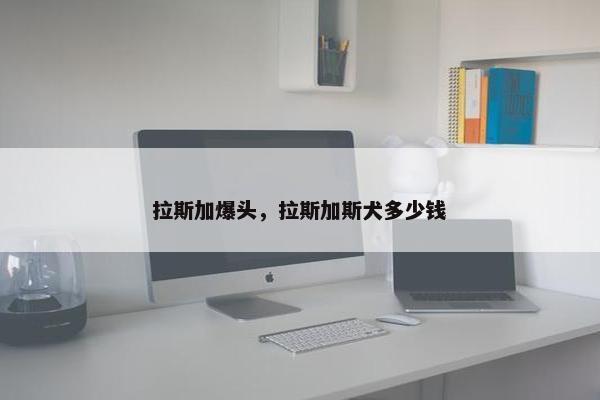 拉斯加爆头，拉斯加斯犬多少钱