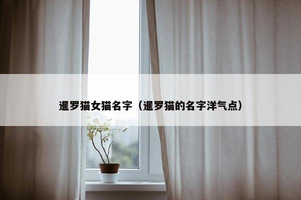 暹罗猫女猫名字（暹罗猫的名字洋气点）