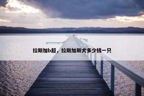 拉斯加b超，拉斯加斯犬多少钱一只