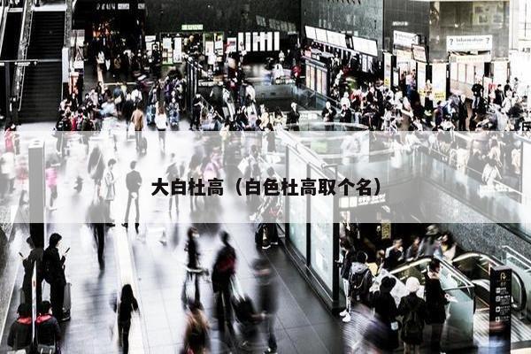 大白杜高（白色杜高取个名）