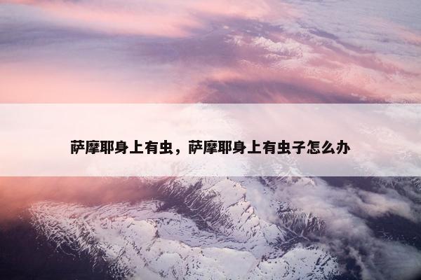 萨摩耶身上有虫，萨摩耶身上有虫子怎么办