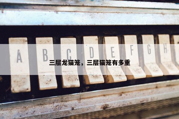 三层龙猫笼，三层猫笼有多重