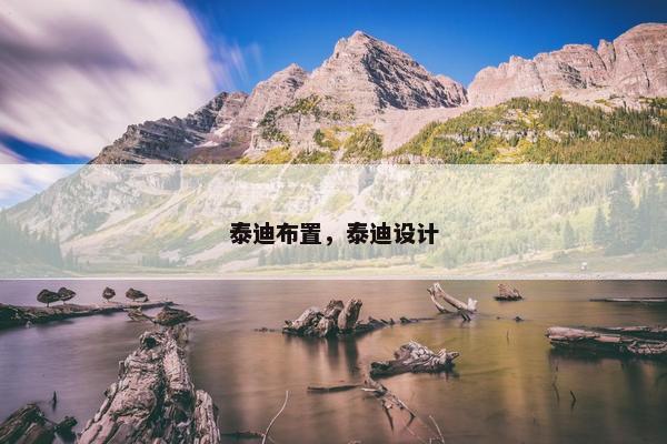 泰迪布置，泰迪设计