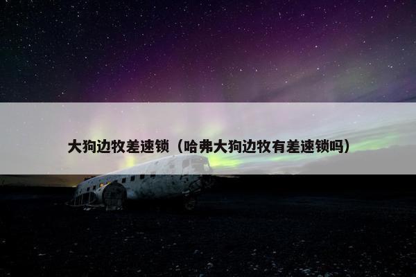 大狗边牧差速锁（哈弗大狗边牧有差速锁吗）