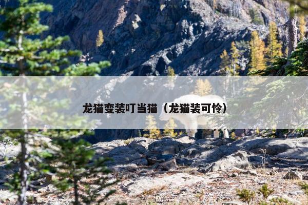 龙猫变装叮当猫（龙猫装可怜）