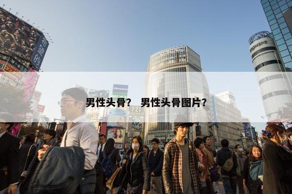 男性头骨？ 男性头骨图片？