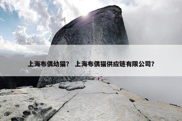 上海布偶幼猫？ 上海布偶猫供应链有限公司？