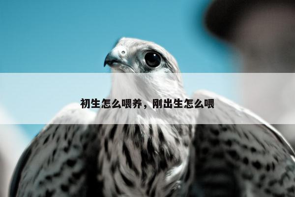 初生怎么喂养，刚出生怎么喂