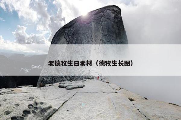 老德牧生日素材（德牧生长图）