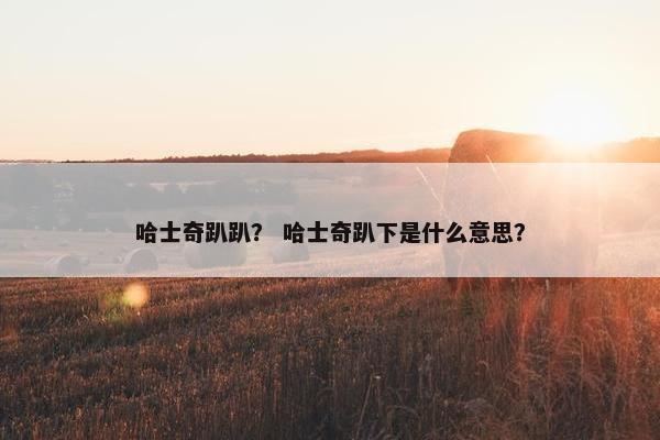 哈士奇趴趴？ 哈士奇趴下是什么意思？
