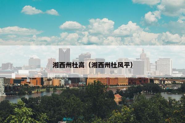 湘西州杜高（湘西州杜风平）