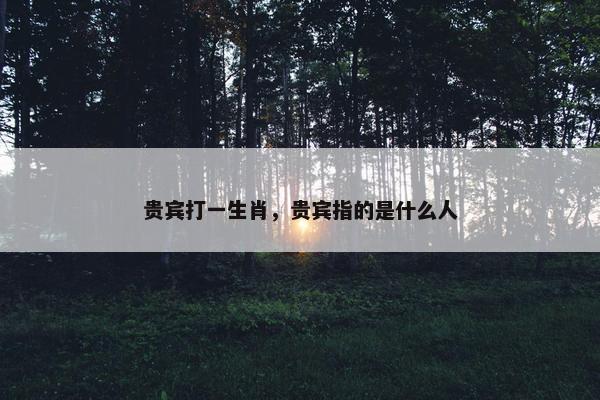 贵宾打一生肖，贵宾指的是什么人