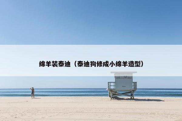 绵羊装泰迪（泰迪狗修成小绵羊造型）