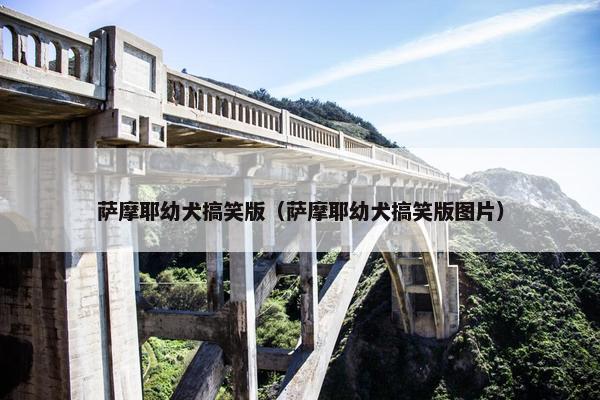 萨摩耶幼犬搞笑版（萨摩耶幼犬搞笑版图片）