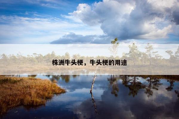 株洲牛头梗，牛头梗的用途