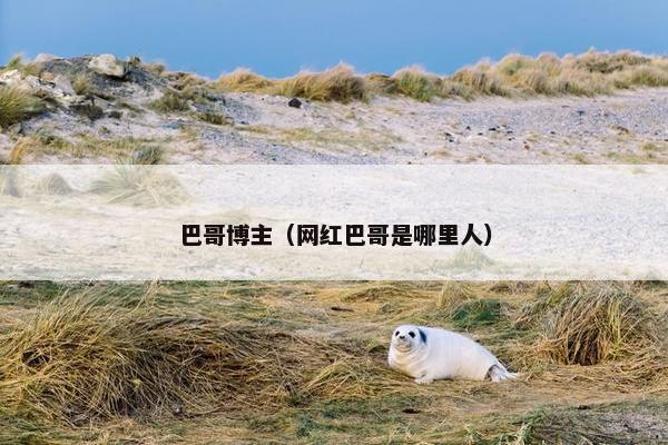 巴哥博主（网红巴哥是哪里人）