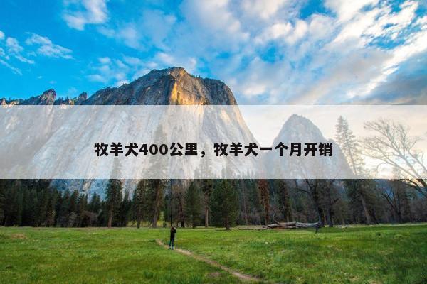 牧羊犬400公里，牧羊犬一个月开销