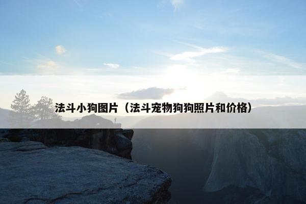法斗小狗图片（法斗宠物狗狗照片和价格）