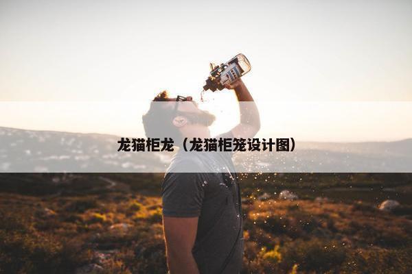 龙猫柜龙（龙猫柜笼设计图）