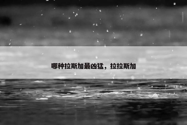 哪种拉斯加最凶猛，拉拉斯加