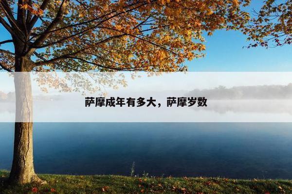 萨摩成年有多大，萨摩岁数