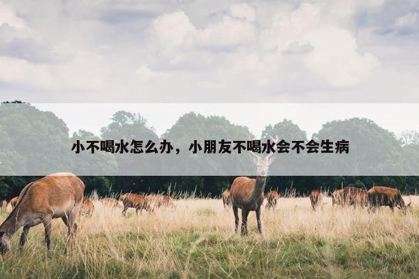 小不喝水怎么办，小朋友不喝水会不会生病