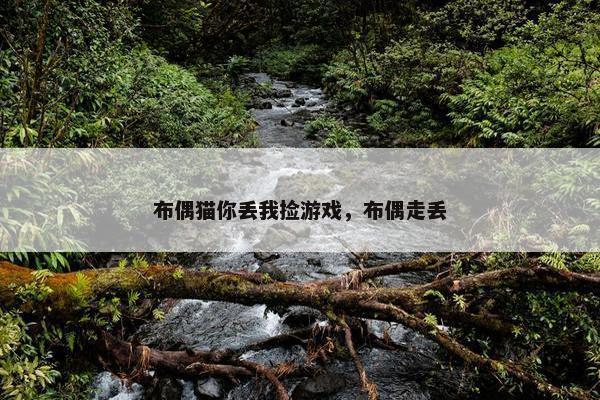 布偶猫你丢我捡游戏，布偶走丢