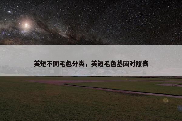 英短不同毛色分类，英短毛色基因对照表