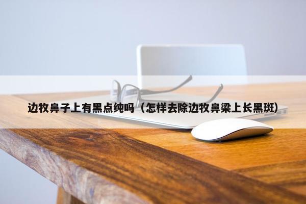 边牧鼻子上有黑点纯吗（怎样去除边牧鼻梁上长黑斑）