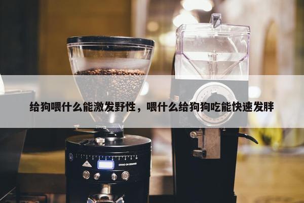 给狗喂什么能激发野性，喂什么给狗狗吃能快速发胖
