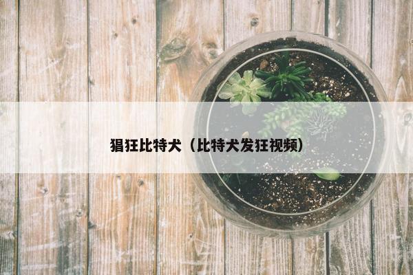 猖狂比特犬（比特犬发狂视频）