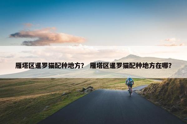 雁塔区暹罗猫配种地方？ 雁塔区暹罗猫配种地方在哪？