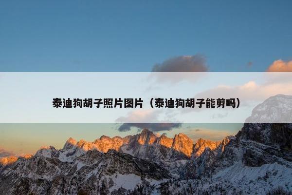泰迪狗胡子照片图片（泰迪狗胡子能剪吗）