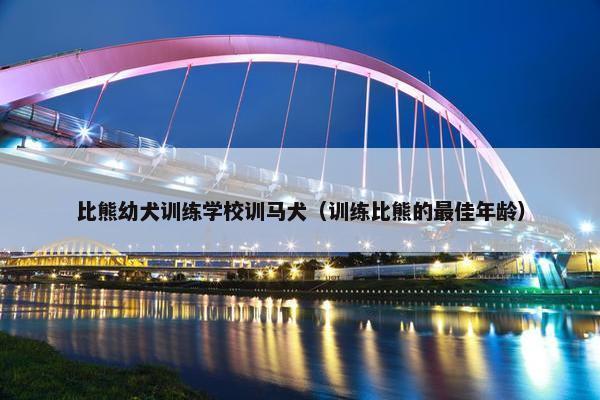 比熊幼犬训练学校训马犬（训练比熊的最佳年龄）
