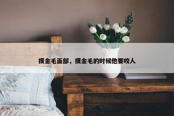 摸金毛面部，摸金毛的时候他要咬人