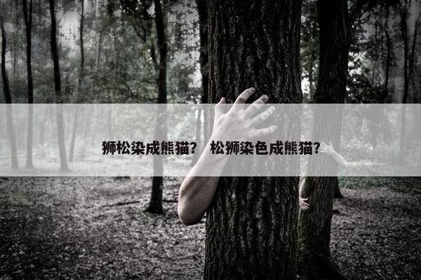 狮松染成熊猫？ 松狮染色成熊猫？