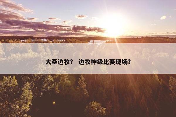大圣边牧？ 边牧神级比赛现场？